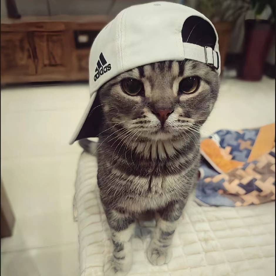 小老弟