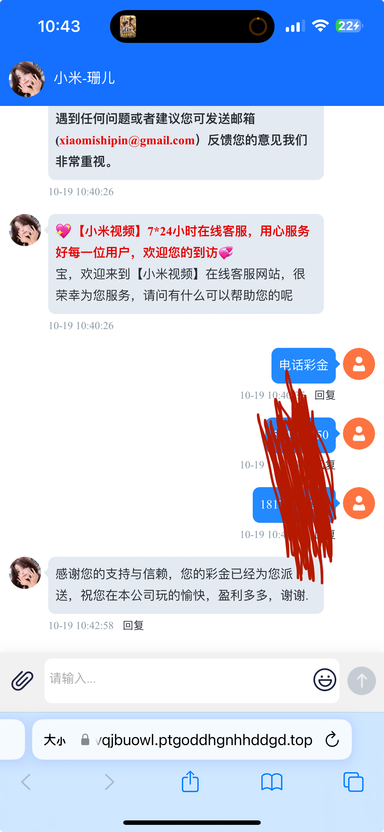 内容图片